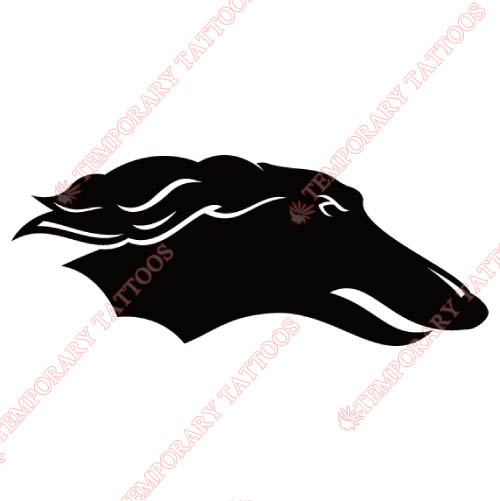 Southern Illinois Salukis Customize Temporary Tattoos Stickers NO.6275